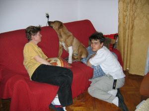 14.04.2005 Tak to jest jak dwa psy zderz si czoowo w penym biegu... - 
