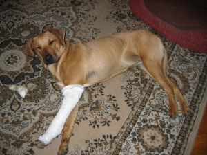 Na szczcie po trzech dniach zdjli mi ten gips... - 